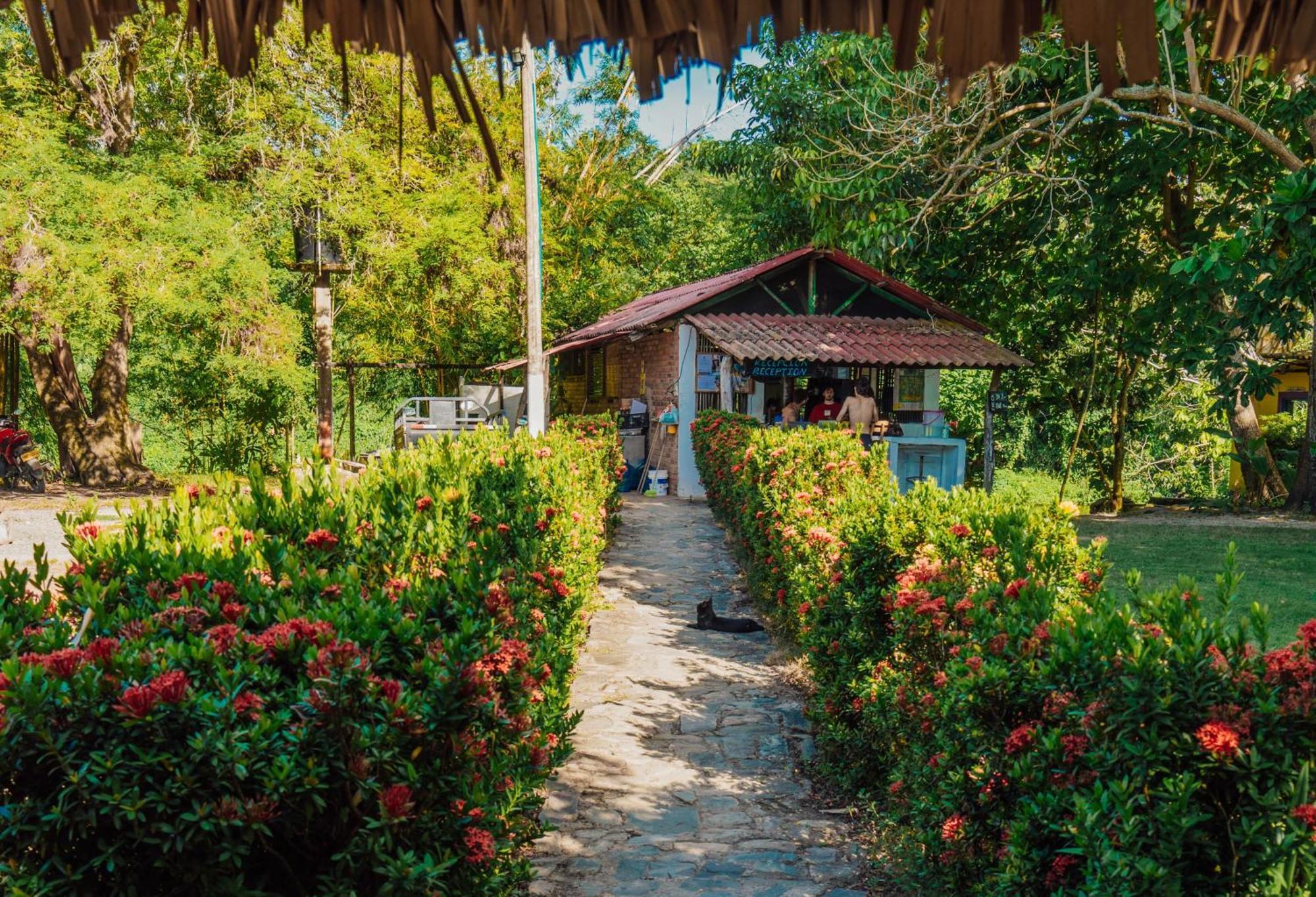 Jaba Jan Hostal بالومينو المظهر الخارجي الصورة