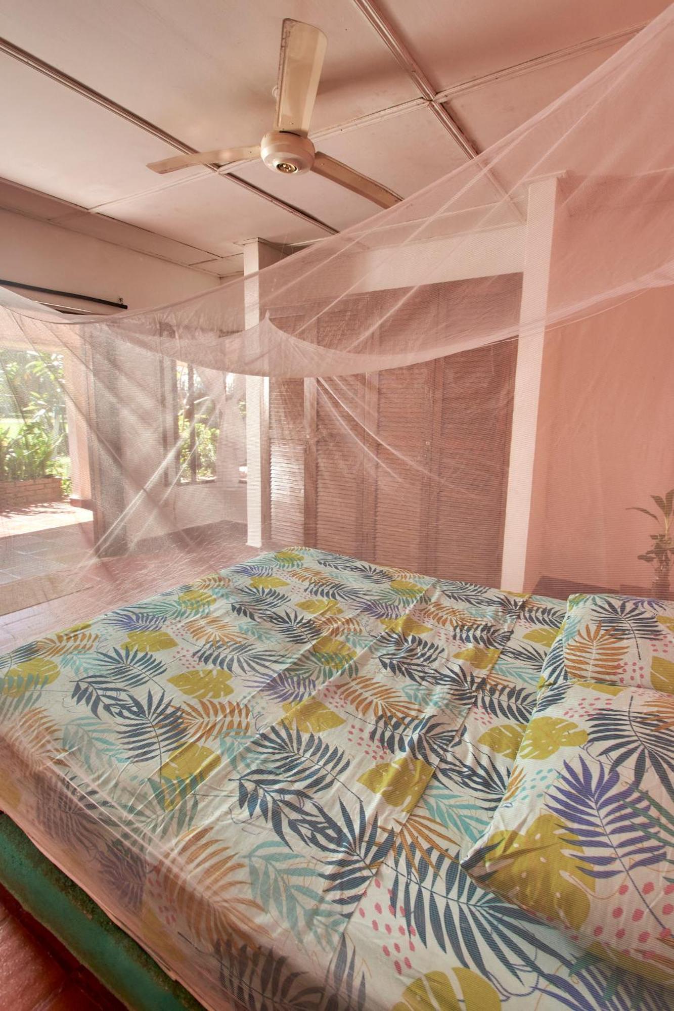 Jaba Jan Hostal بالومينو المظهر الخارجي الصورة